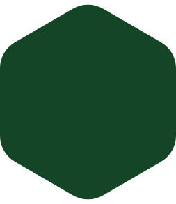 Decorative green hexagon