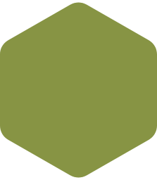 Decorative light green hexagon